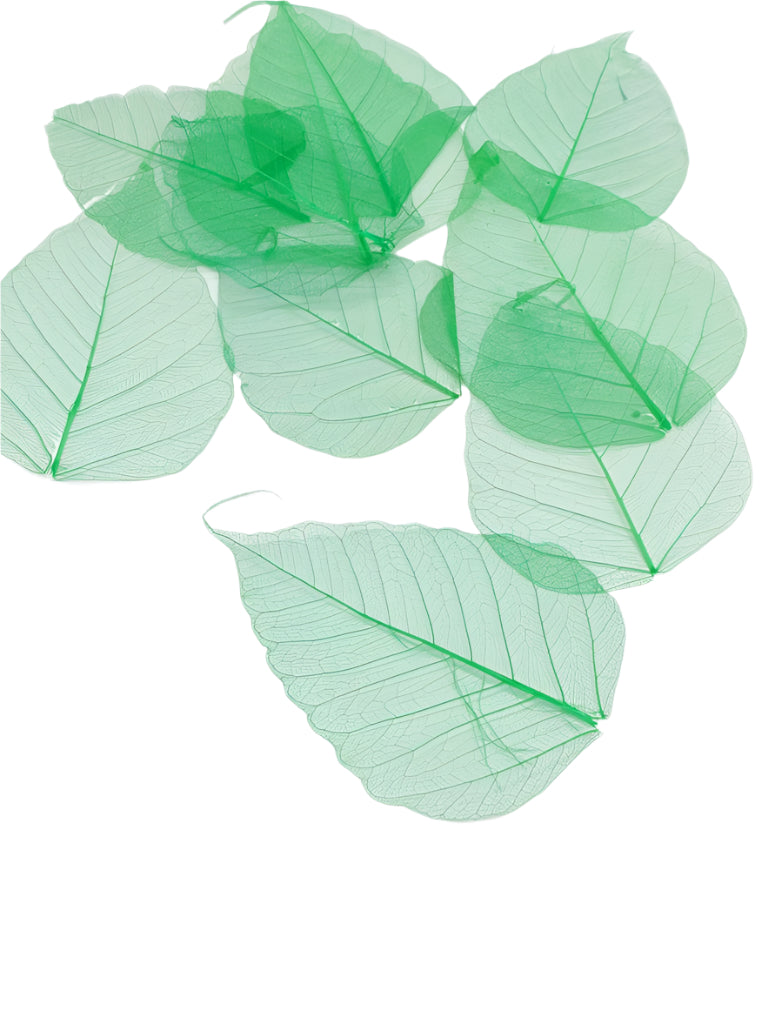 Leaves – 10 pieces- Design – 1