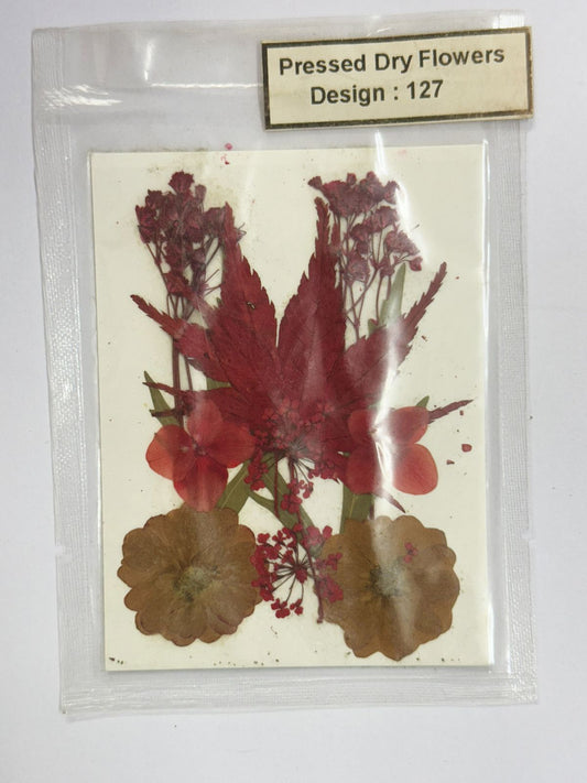 Pressed Dried Flowers- 1 pack Design -127