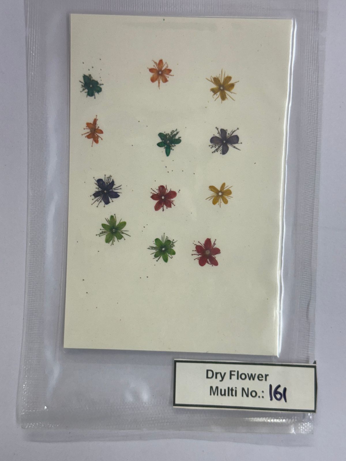 Pressed Dry Flowers- 1 pack – design – 161