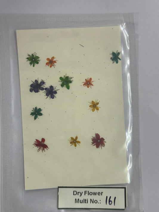 Pressed Dry Flowers- 1 pack – design – 161