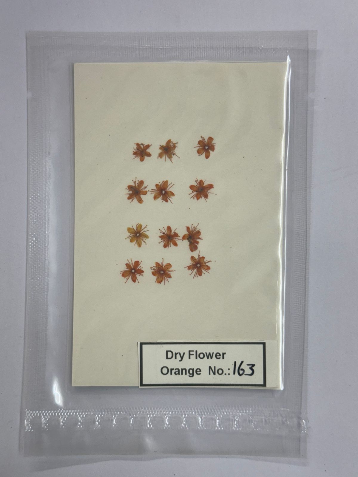 Pressed Dry Flowers- 1 pack – design – 163