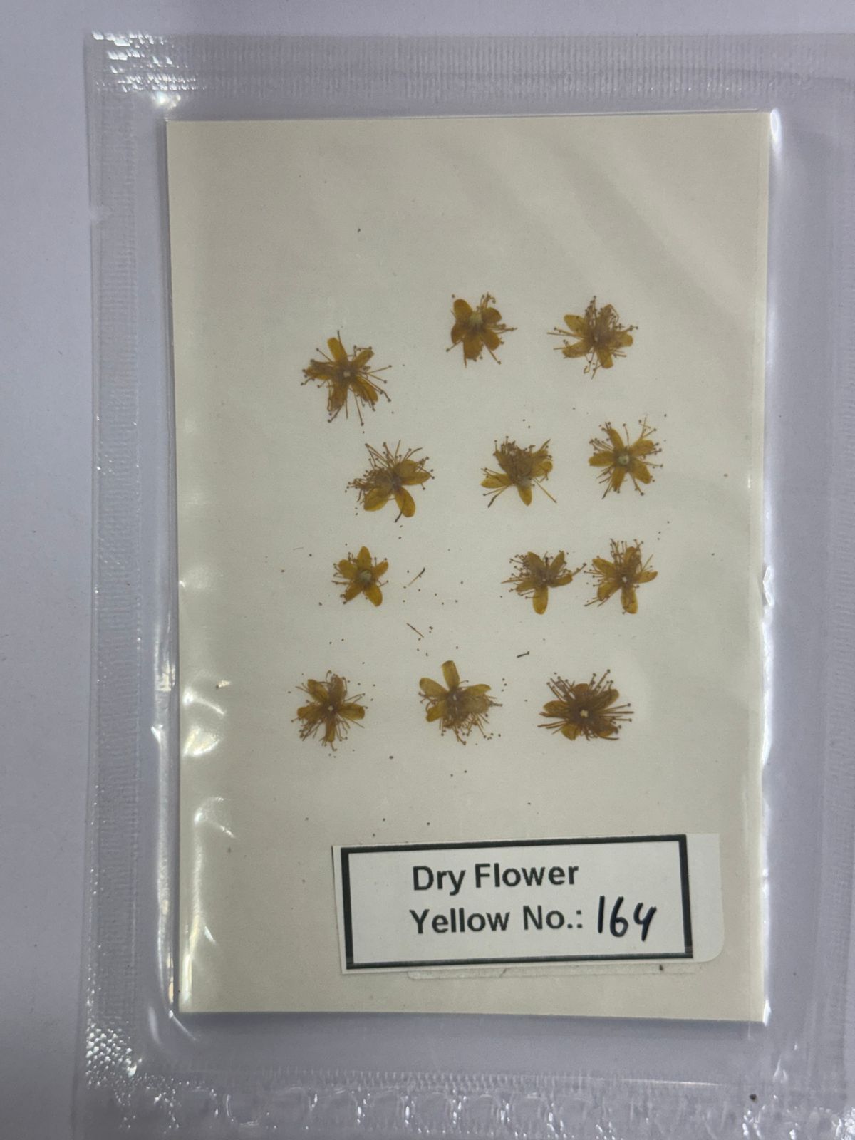 Pressed Dry Flowers- 1 pack – design – 164