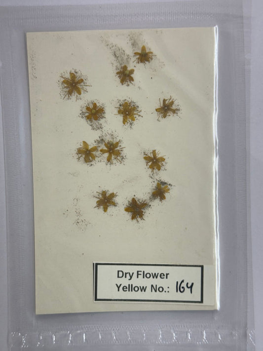 Pressed Dry Flowers- 1 pack – design – 164