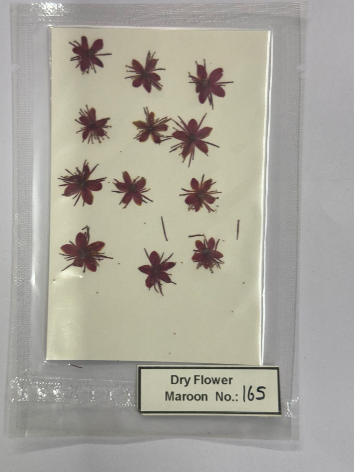 Pressed Dry Flowers- 1 pack – design – 165