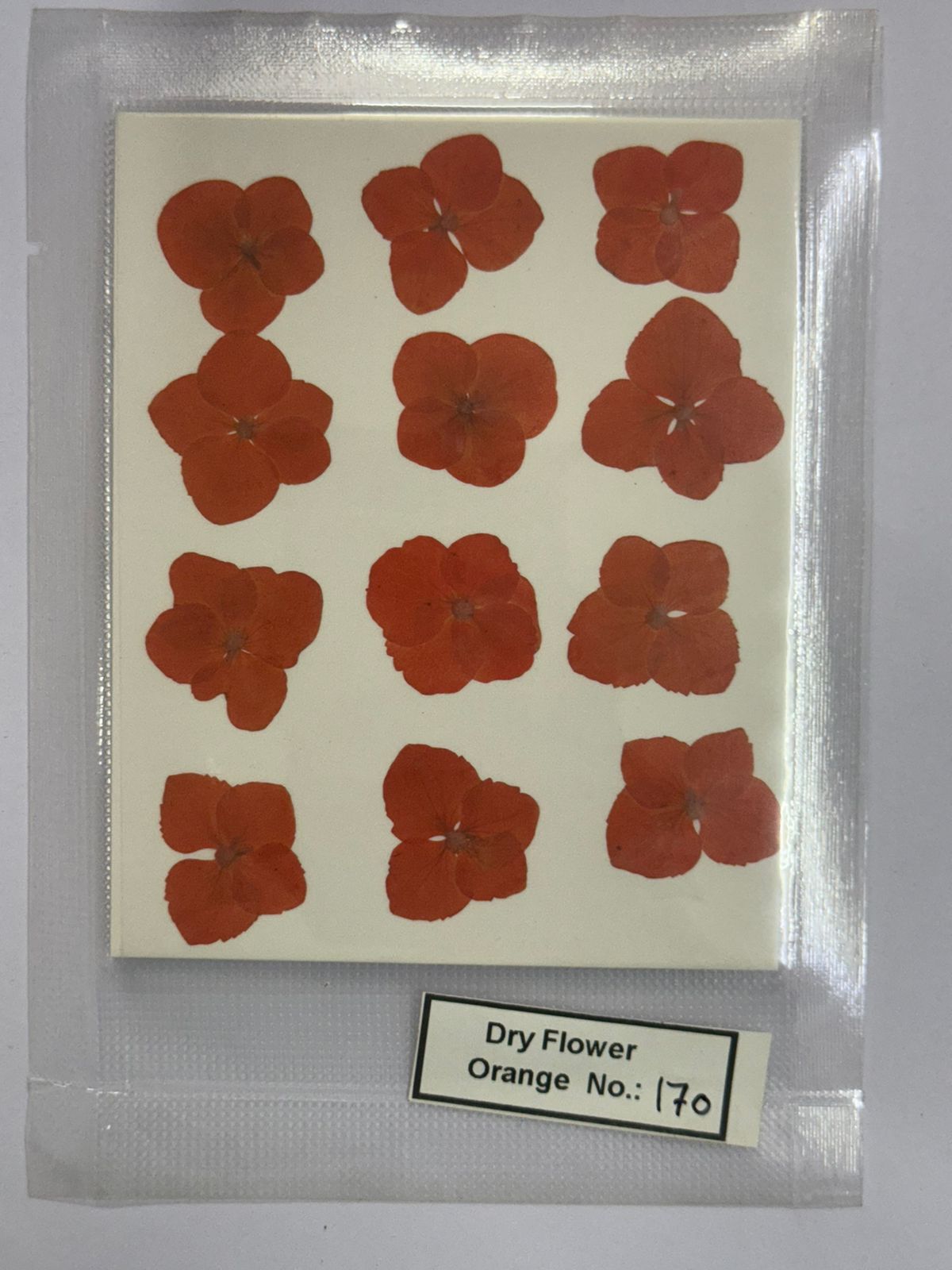Pressed Dry Flowers- 1 pack – design – 170