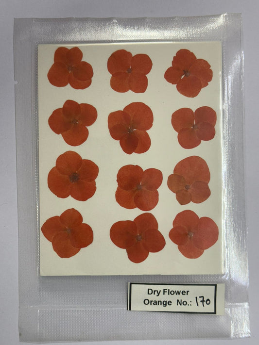 Pressed Dry Flowers- 1 pack – design – 170