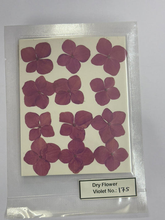 Pressed Dry Flowers- 1 pack – design – 175