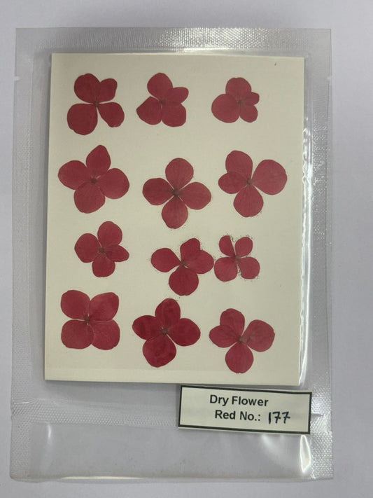 Pressed Dry Flowers- 1 pack – design – 177