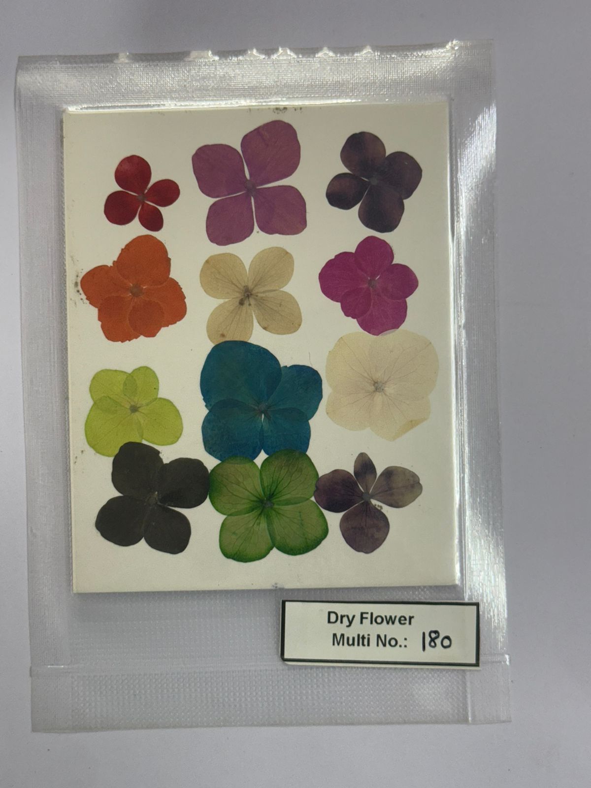 Pressed Dry Flowers- 1 pack – design – 180