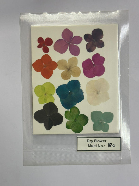 Pressed Dry Flowers- 1 pack – design – 180
