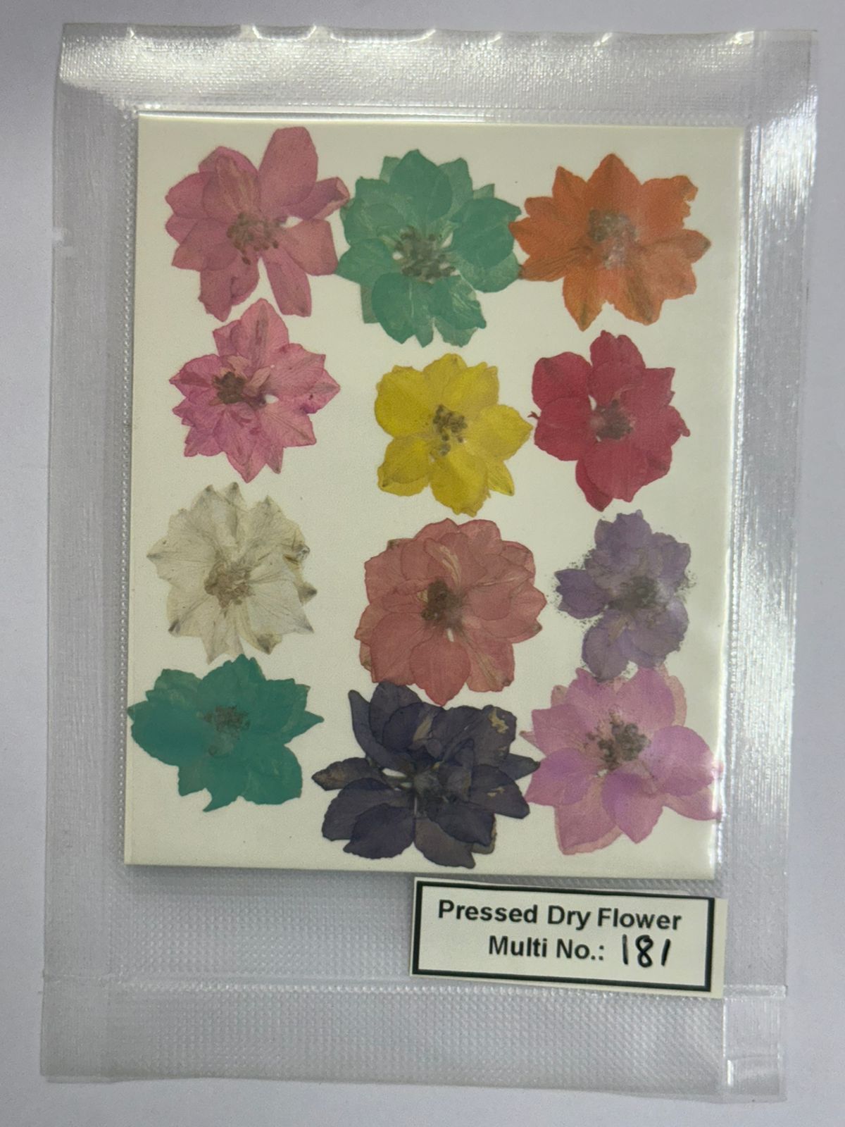 Pressed Dry Flowers- 1 pack – design – 181