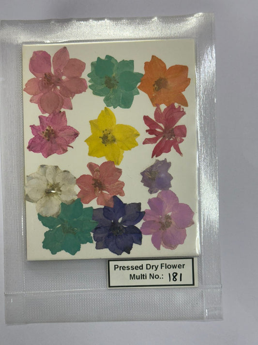 Pressed Dry Flowers- 1 pack – design – 181