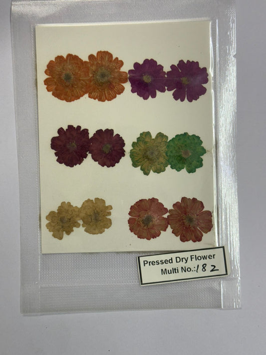 Pressed Dry Flowers- 1 pack – design – 182