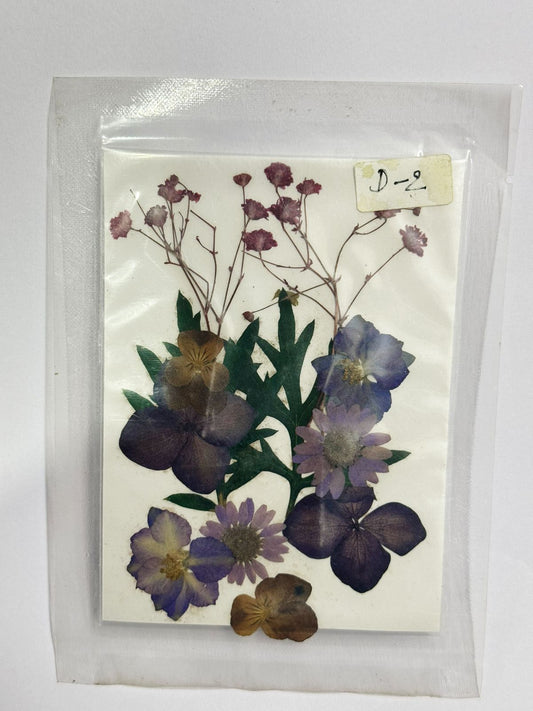 Pressed Dried Flowers- 1 pack Design -2