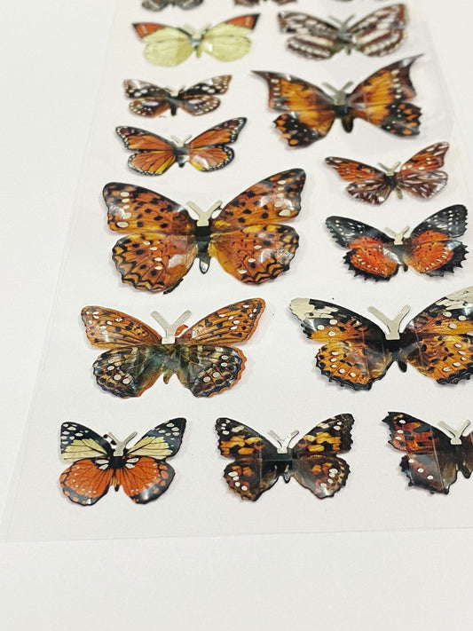 3D Butterfly Sticker – CPJ476