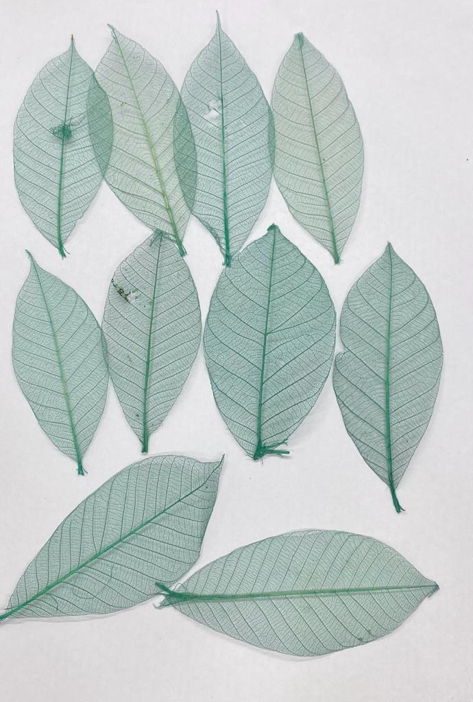 Leaves – 10 pieces- Design – 5