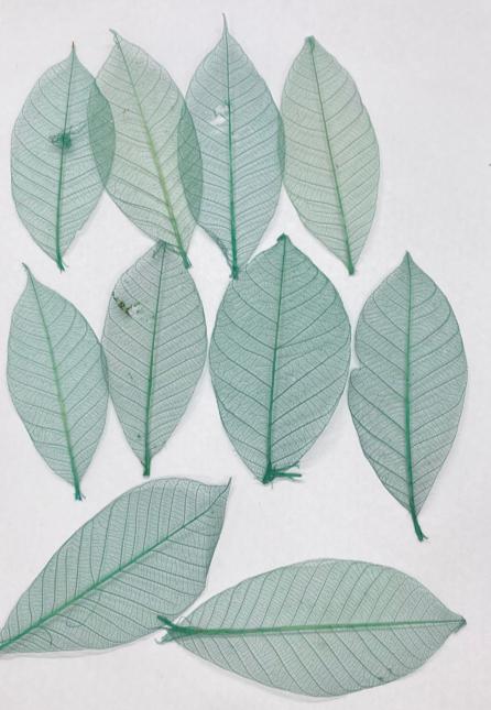 Leaves – 10 pieces- Design – 5