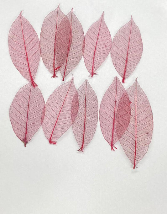 Leaves – 10 pieces- Design – 6