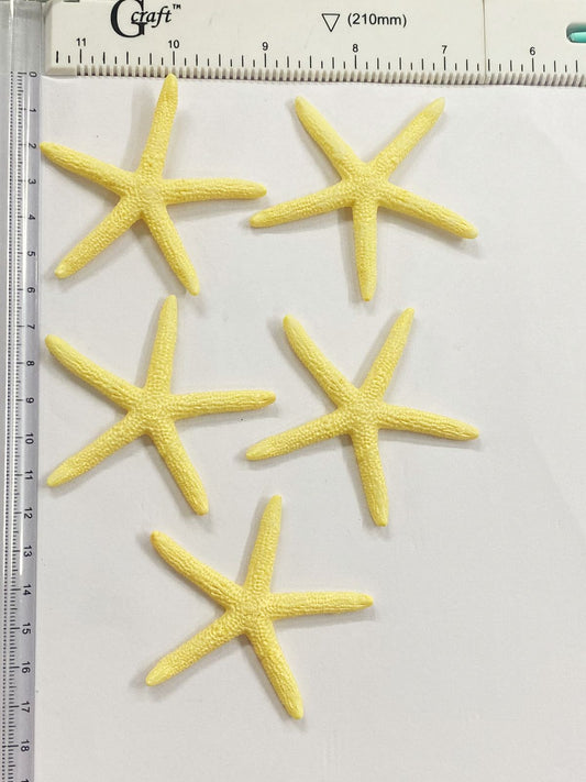 Star Fish Miniature – design 674 – 5 pieces