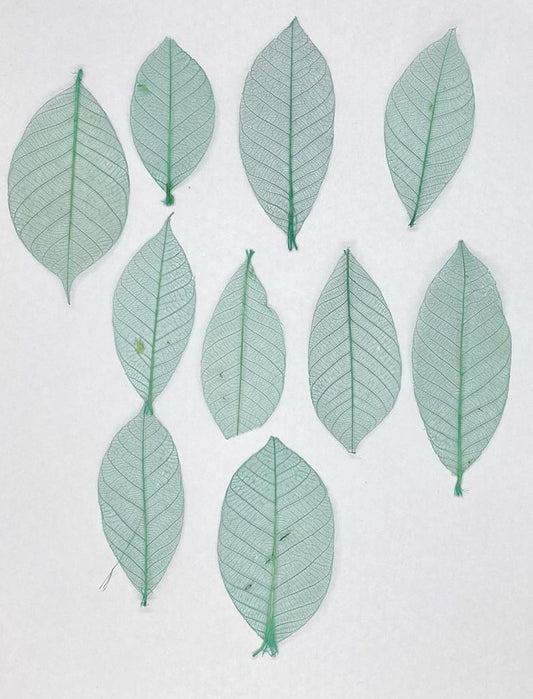 Leaves – 10 pieces- Design – 8