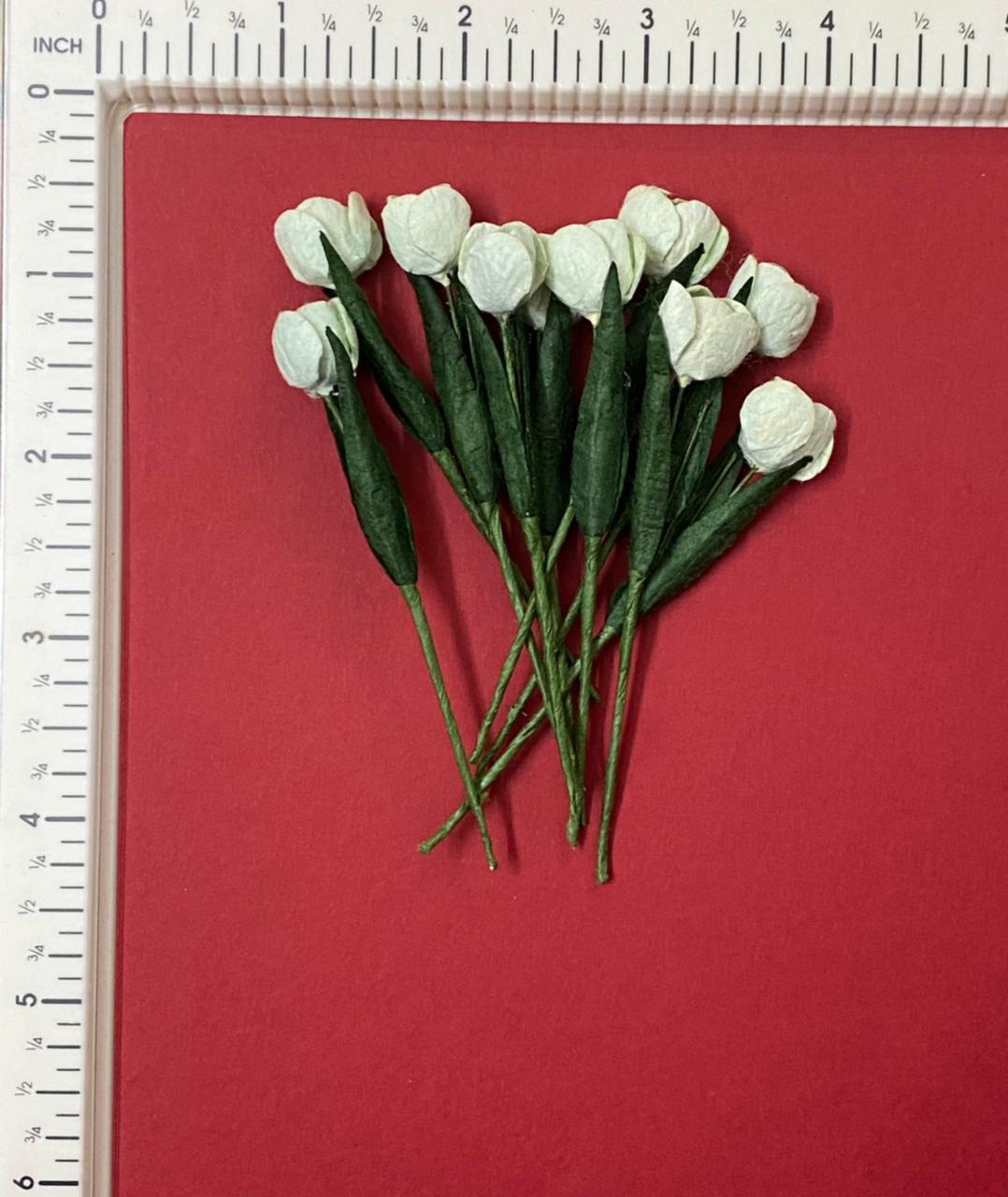 Tulips- 10 Pieces- shade 27