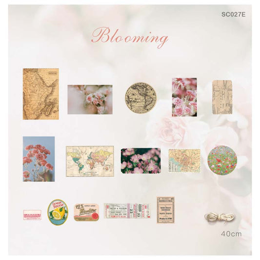 Places To Explore Stickers set – Bloom – 30 Pieces – CPJ454