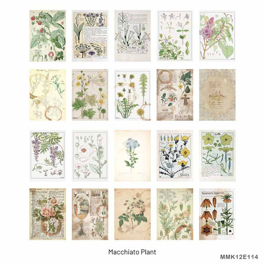 Paper Cutout – CPJ234