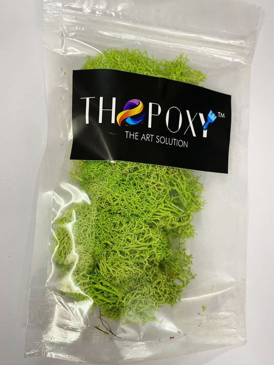 Reindeer Moss Grass