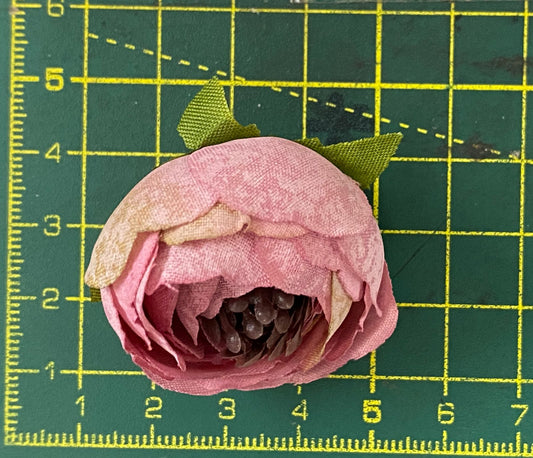 Peony Flowers- 5 Pieces Shade 34