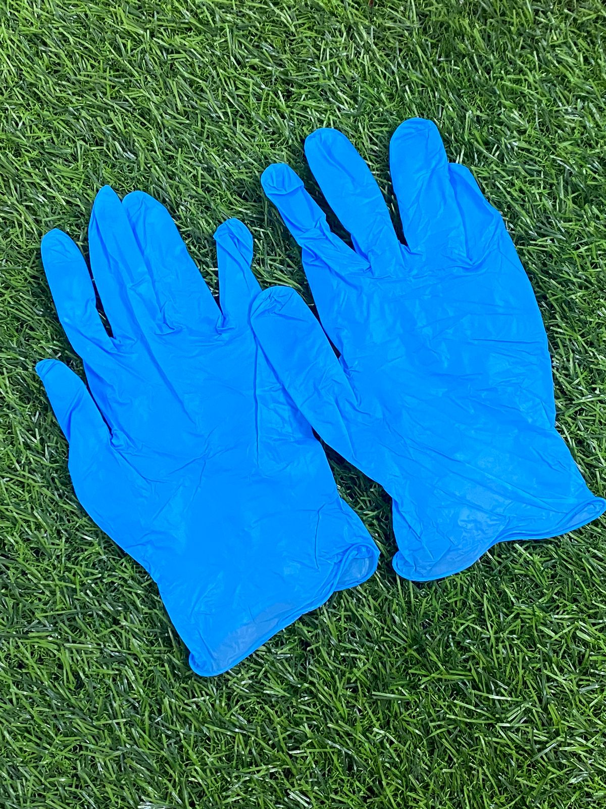 Gloves – Blue – 50 pairs