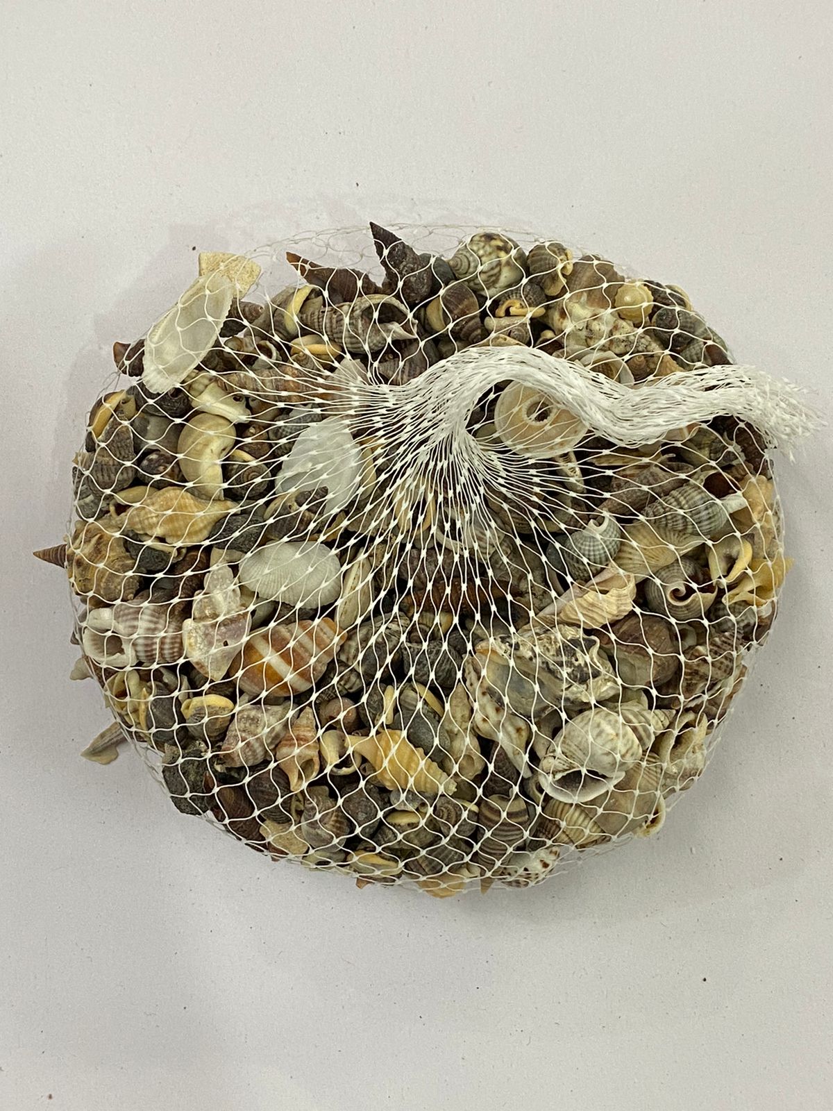 Shell Design – 14