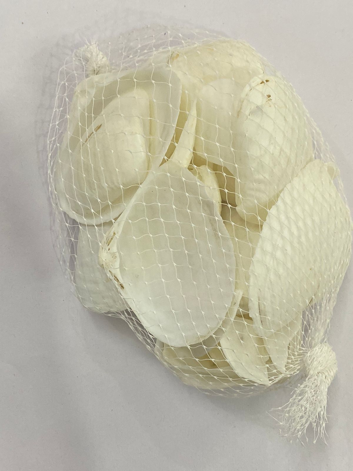 Shell Design – 21