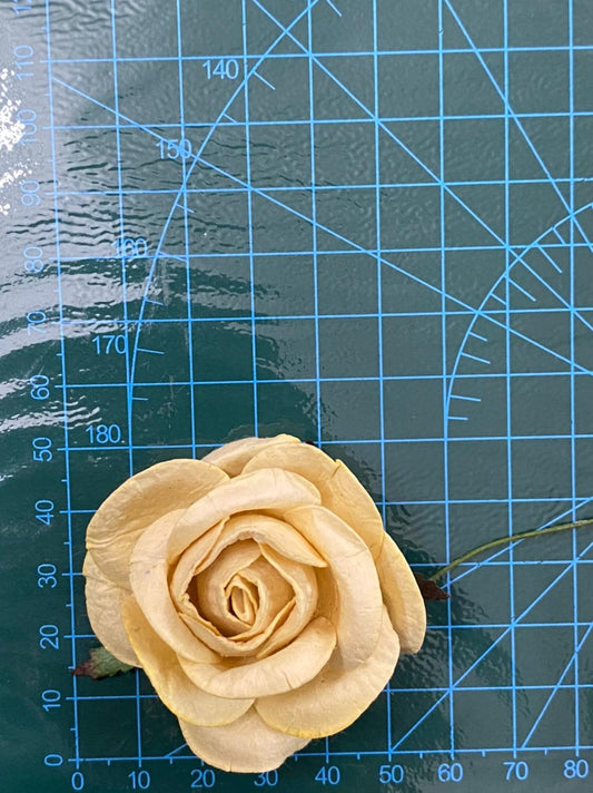 Mulberry Flower- 20 Pieces- shade 23