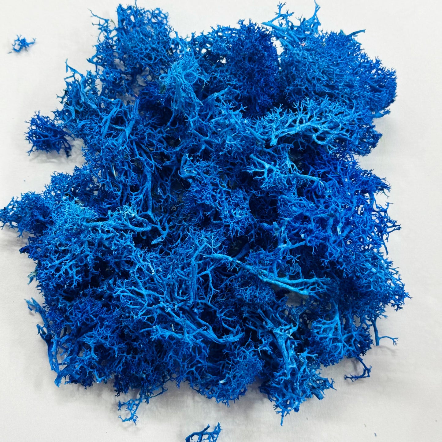 Moss Grass- Blue color - 20 gm
