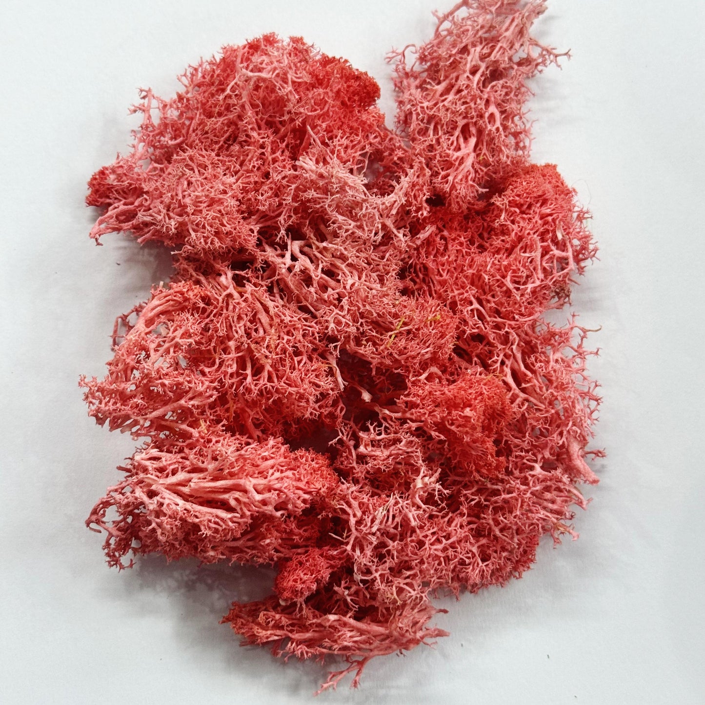 Moss Grass- Light Pink color - 20 gm