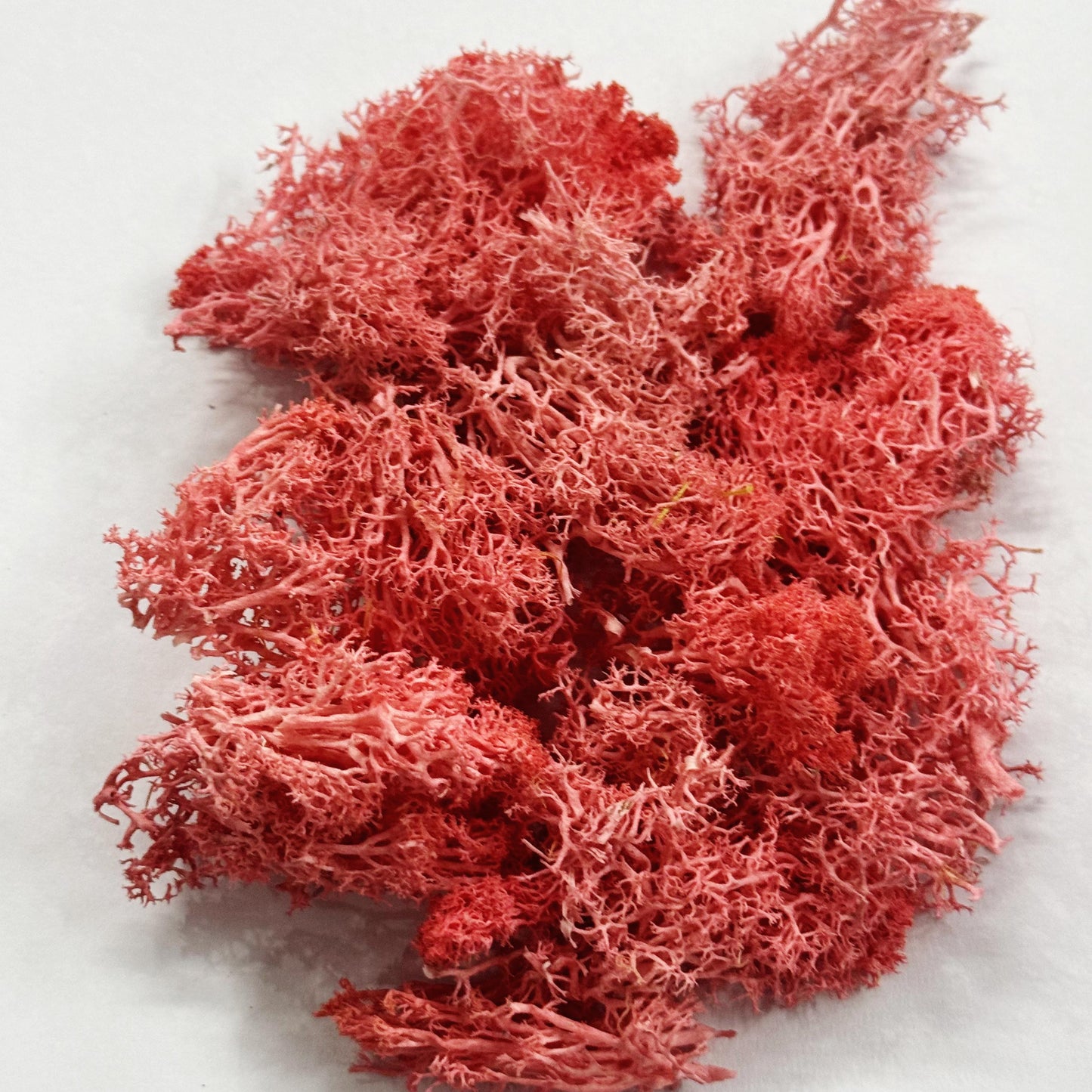 Moss Grass- Light Pink color - 20 gm