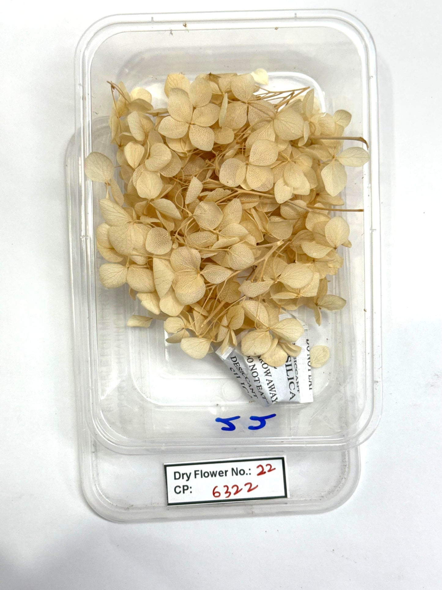 Dry Flower - Design - 22