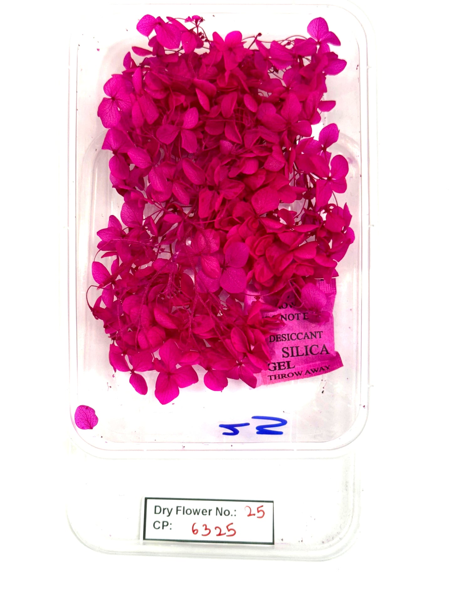 Dry Flower - Design - 25