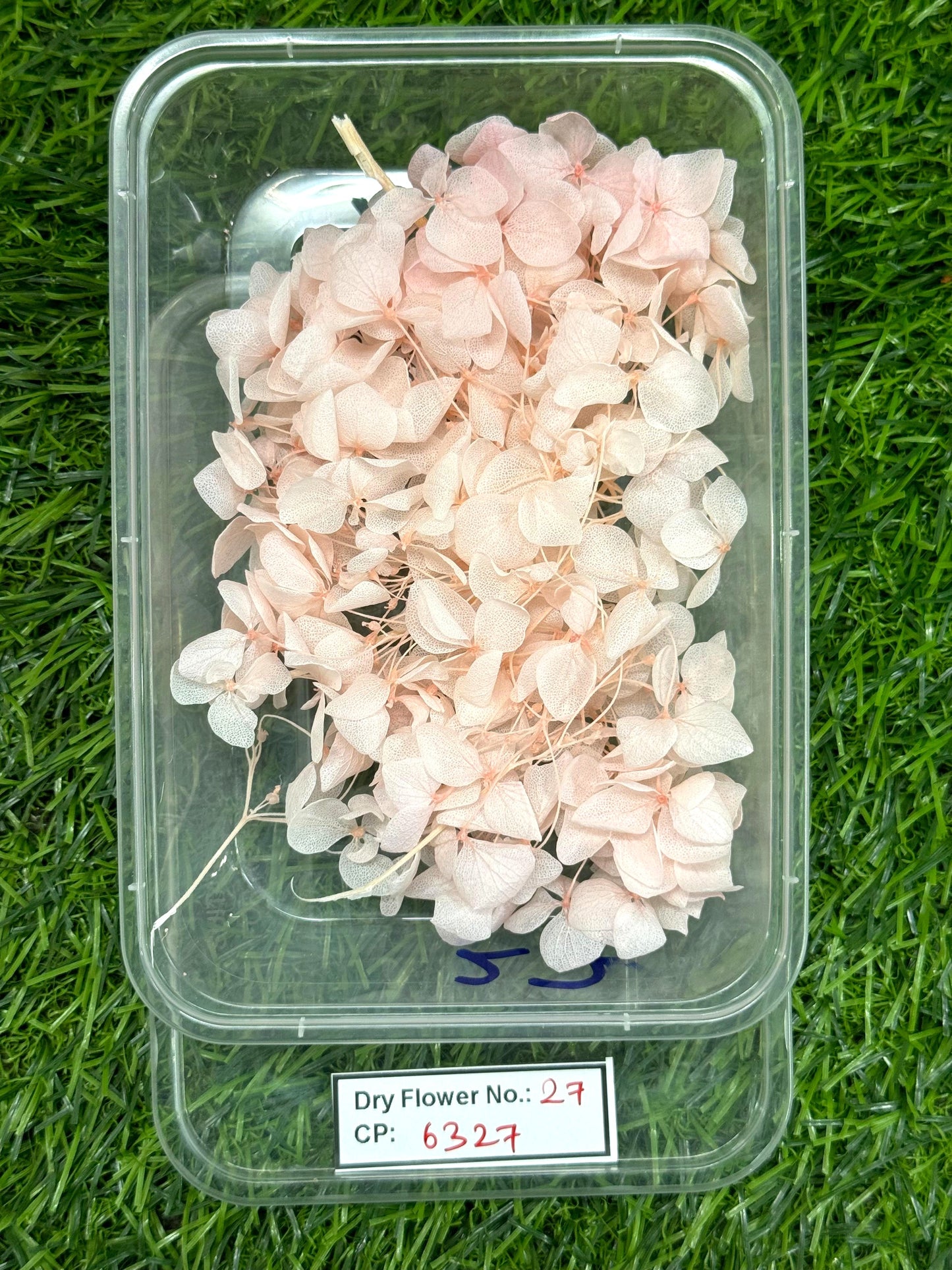 Dry Flower - Design - 27