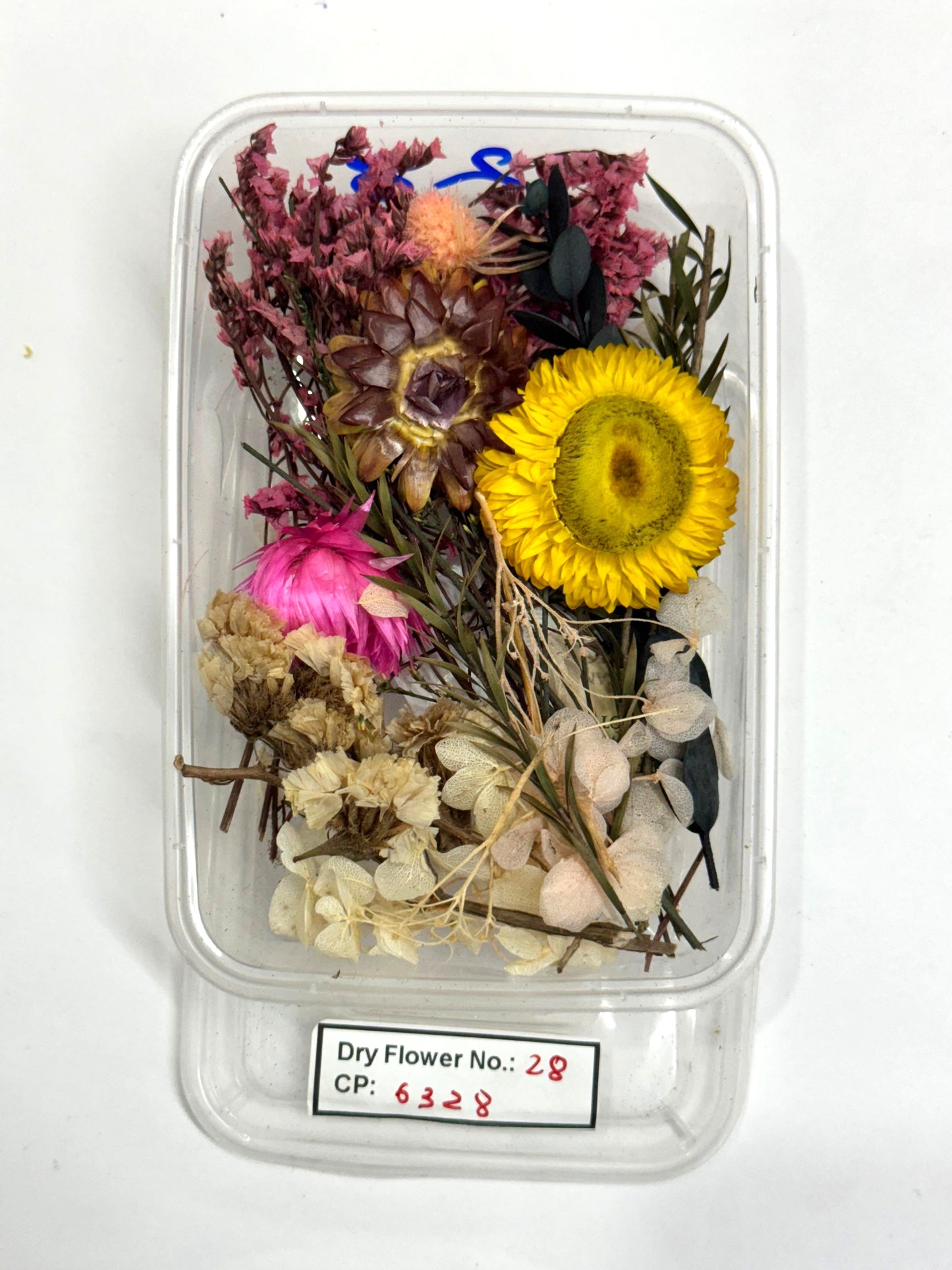 Dry Flower - Design - 28