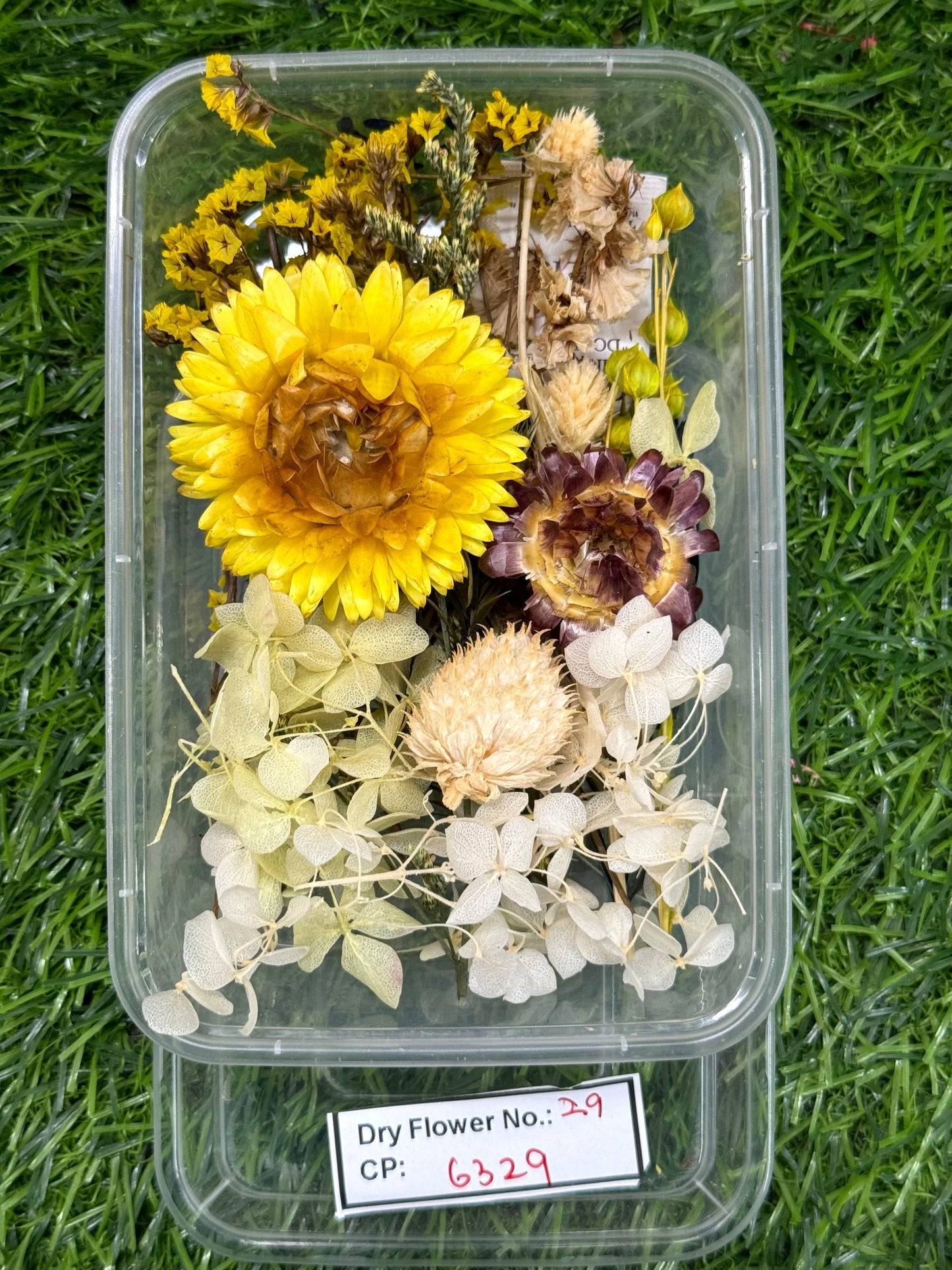 Dry Flower - Design - 29