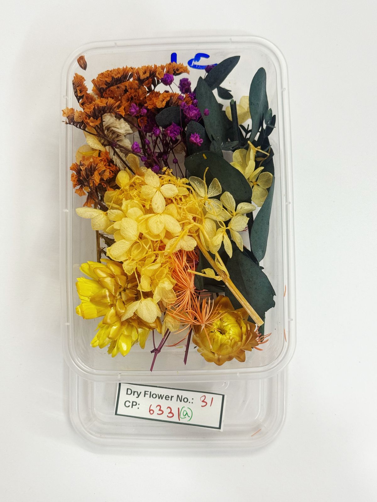 Dry Flower - Design - 31
