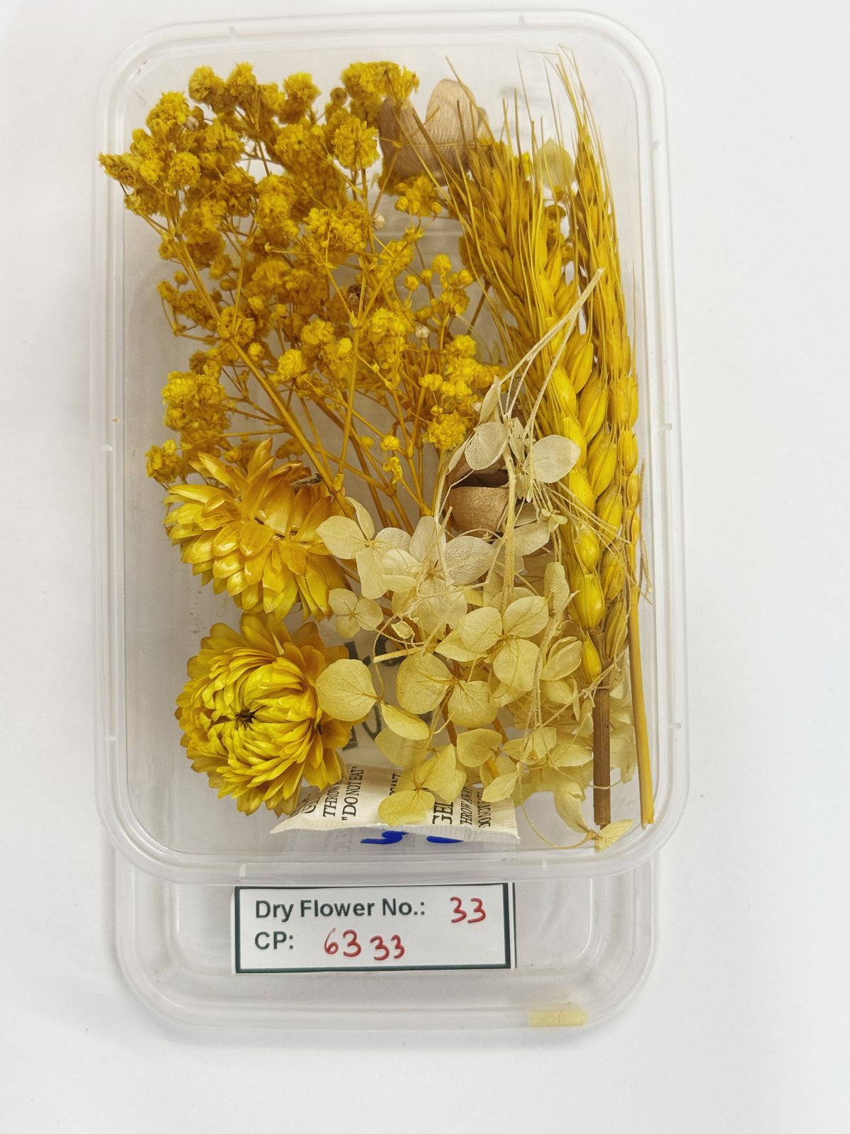 Dry Flower - Design - 33