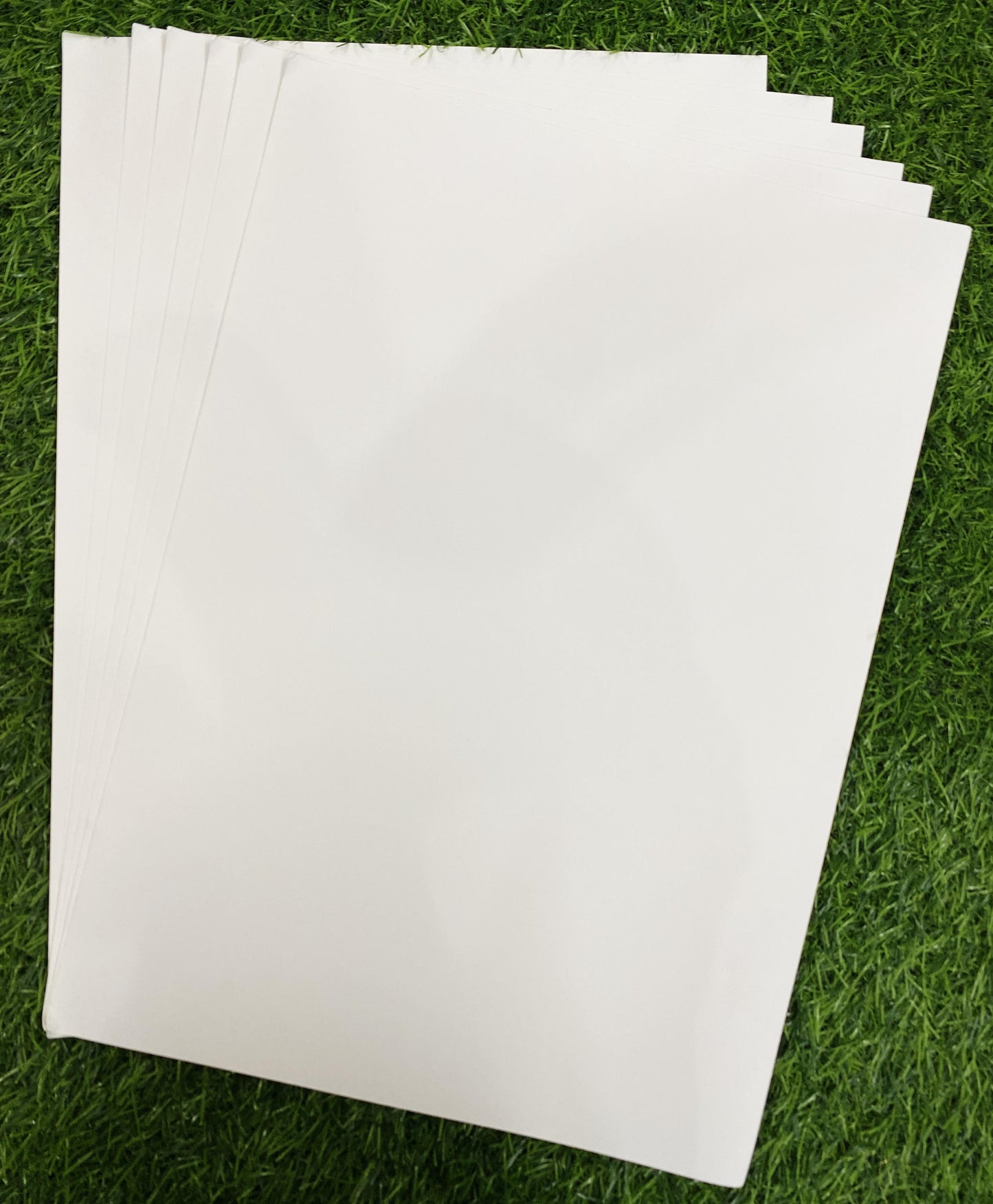 Ivory Cardstock- 250 GSM- A3 -50 sheets
