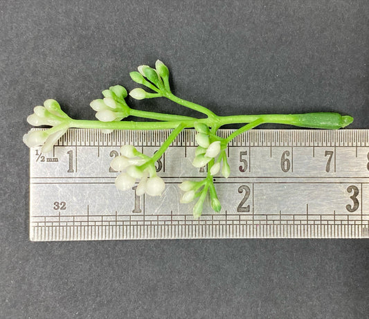 Artificial Grass- 1 pack - 100gm , Design - 8