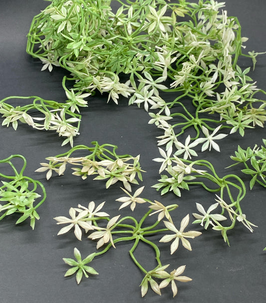 Artificial Grass- 1 pack - 100gm , Design -16