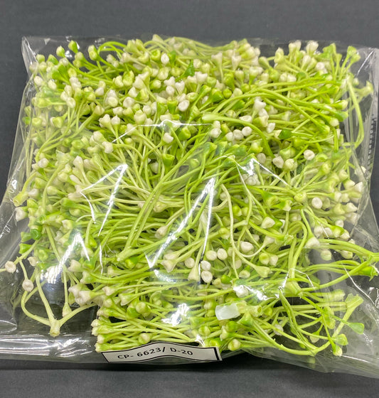 Artificial Grass- 1 pack - 125 gm , Design -20