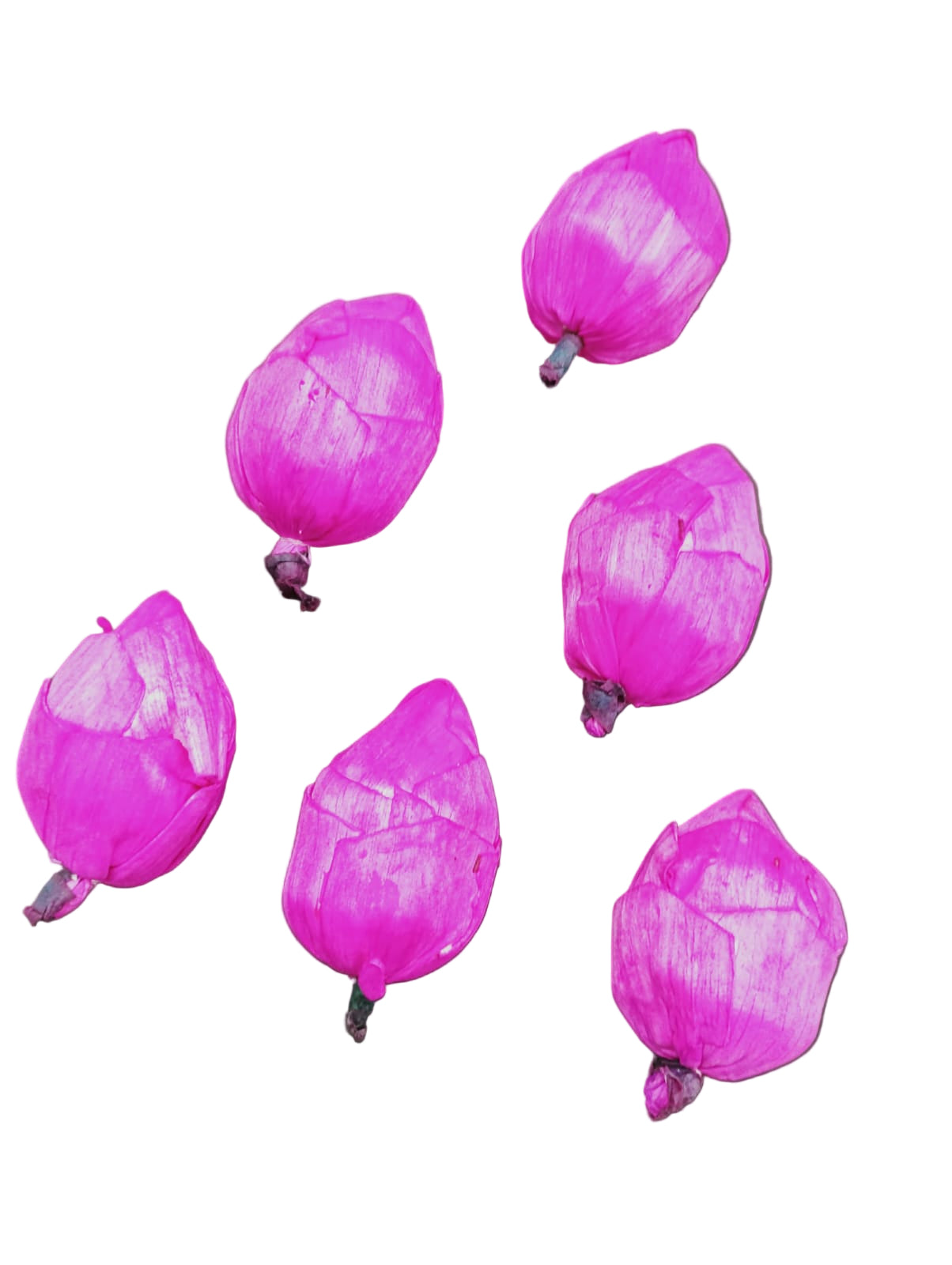 Lotus Bud - 10 pieces