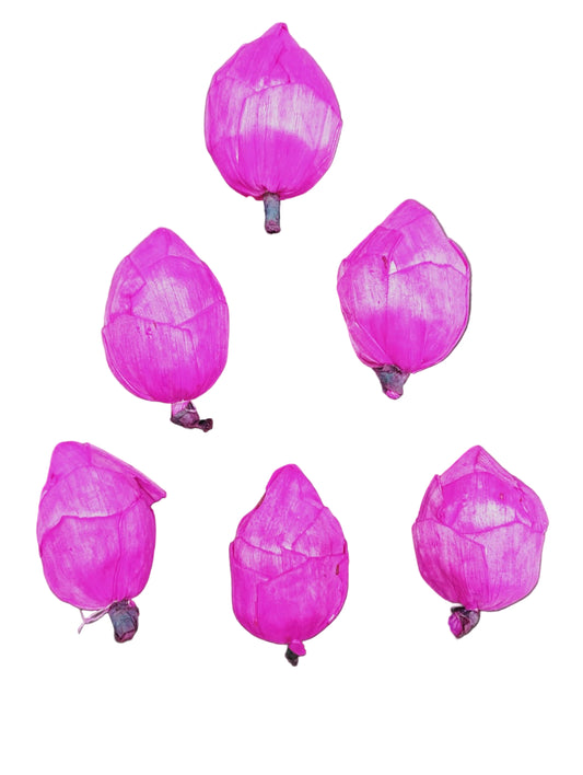 Lotus Bud - 10 pieces