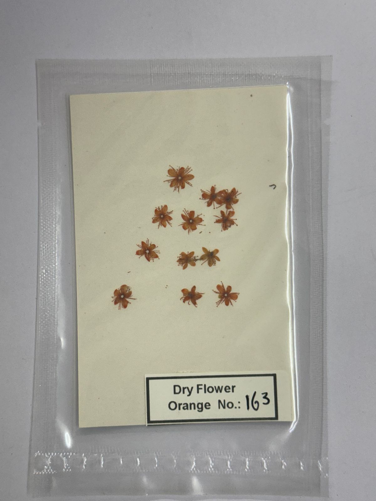 Pressed Dry Flowers- 1 pack – design – 163